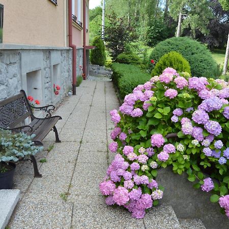 Penzion Ostravanka Hranice  Exterior foto
