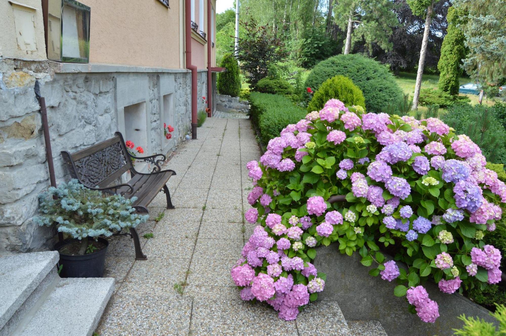 Penzion Ostravanka Hranice  Exterior foto
